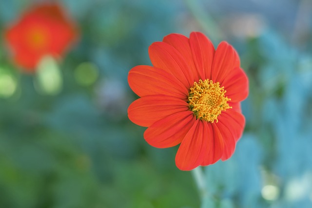 浙江副总：人员进出会第一时间官宣，卡内达作风和硬度需提高